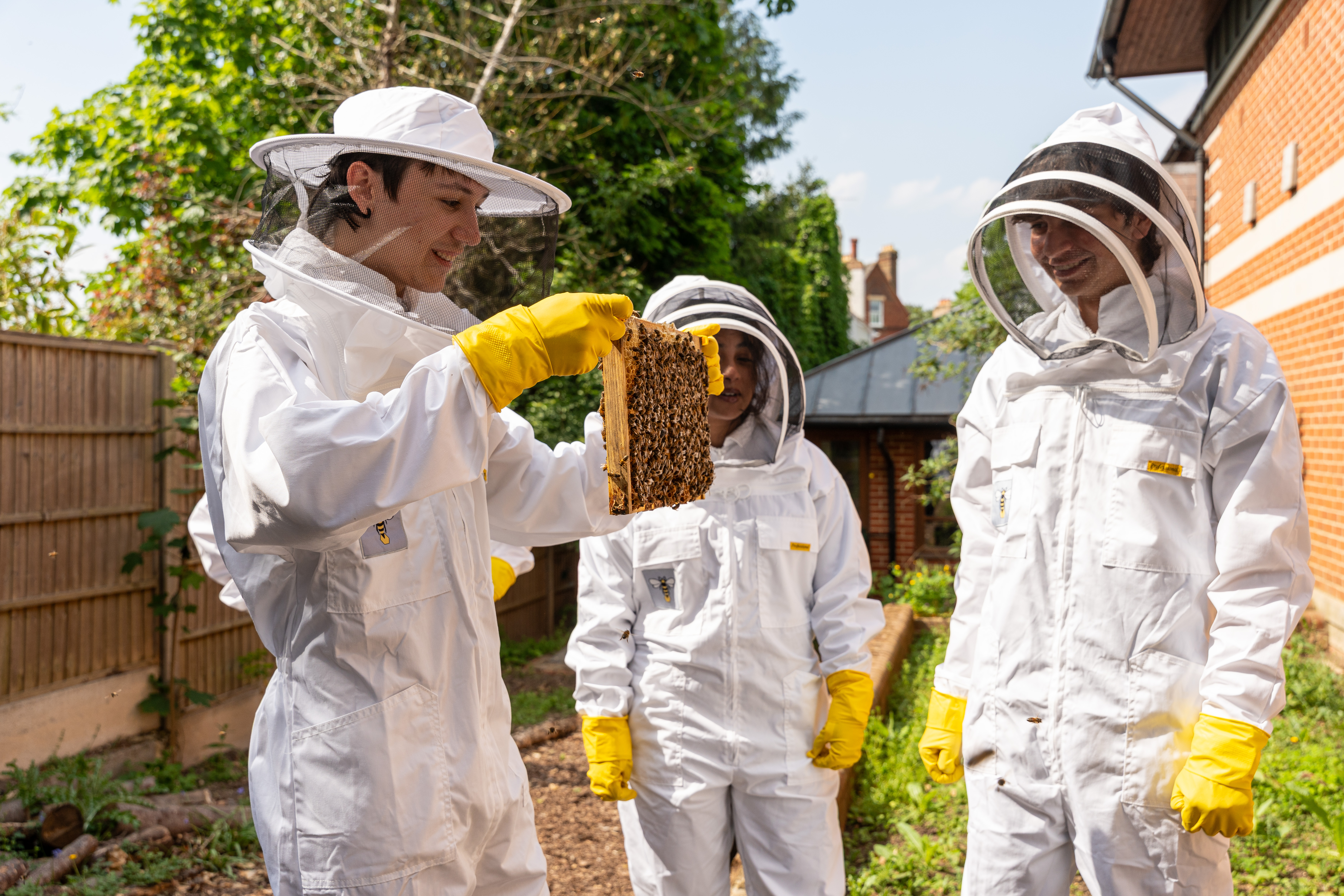 Beekeeping